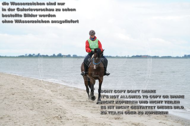 s_K3F04965.JPG